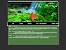 Tablet Screenshot of mortalagony.com